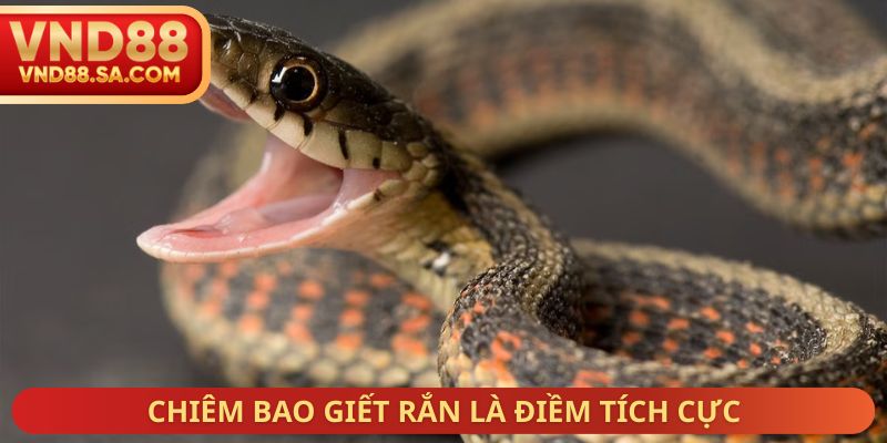 Chiêm bao giết rắn là điềm tích cực