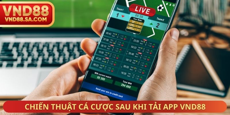 Chiến thuật cá cược sau khi tải App VND88