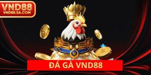 Đá Gà VND88