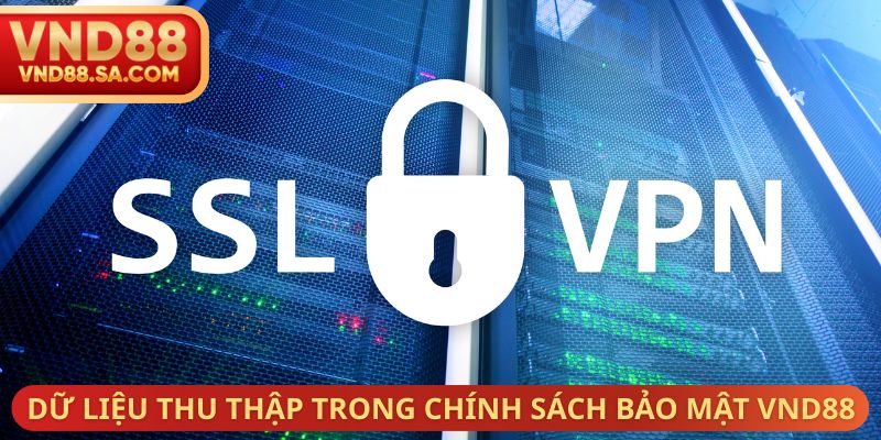 Dữ liệu thu thập trong chính sách bảo mật VND88