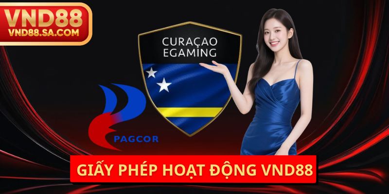 Giấy Phép Hoạt Động VND88
