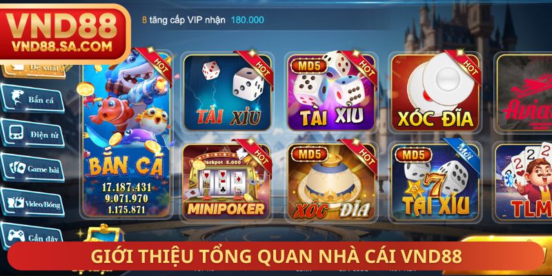 Giới thiệu tổng quan nhà cái VND88