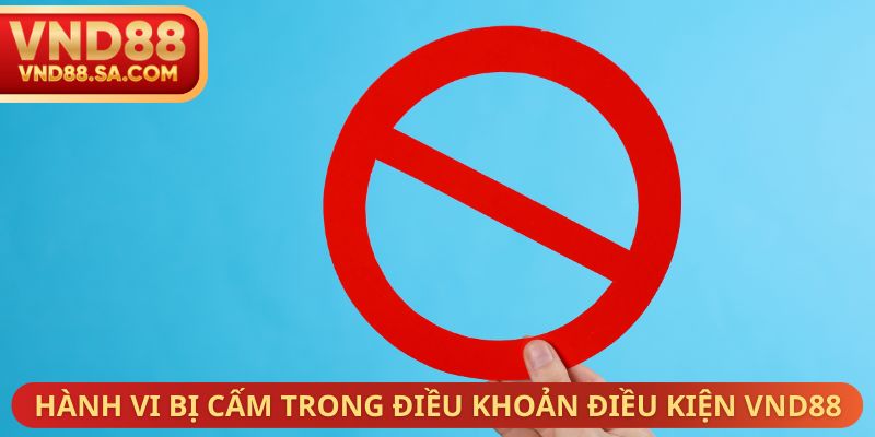 Hành vi bị cấm trong điều khoản điều kiện VND88