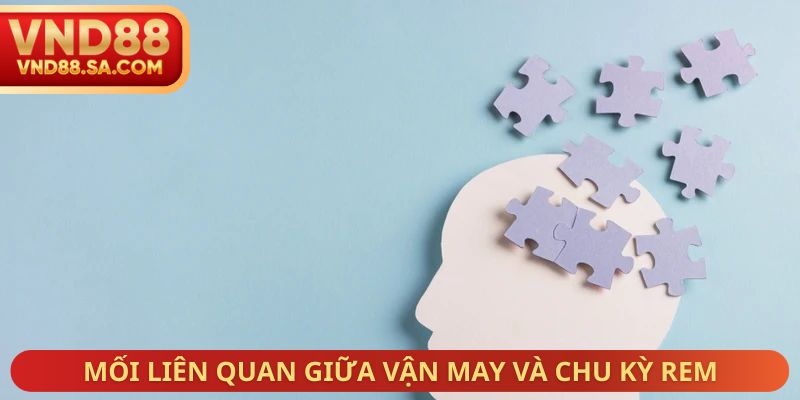 Mối liên quan giữa vận may và chu kỳ REM
