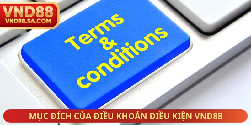 Mục đích của điều khoản điều kiện VND88