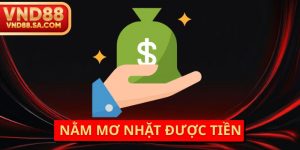Nằm Mơ Nhặt Được Tiền