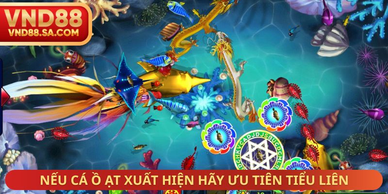Nếu cá ồ ạt xuất hiện hãy ưu tiên tiểu liên