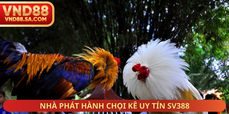 Nhà phát hành chọi kê uy tín SV388