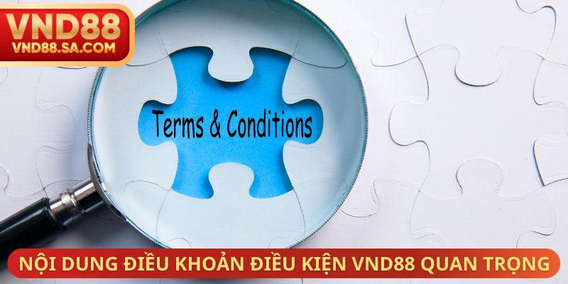 Nội dung điều khoản điều kiện VND88 quan trọng