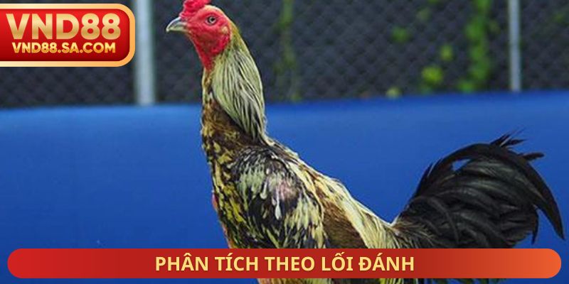 Phân tích theo lối đánh