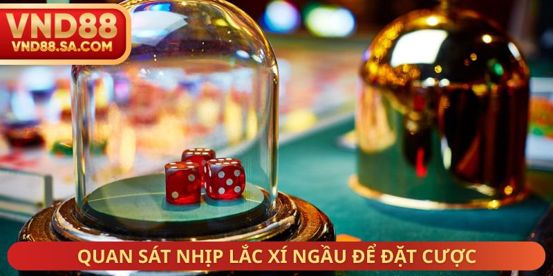 Quan sát nhịp lắc xí ngầu để đặt cược