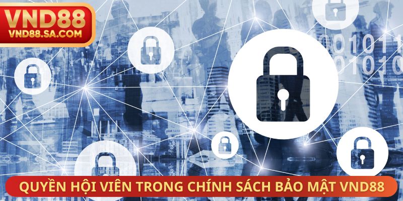 Quyền hội viên trong chính sách bảo mật VND88
