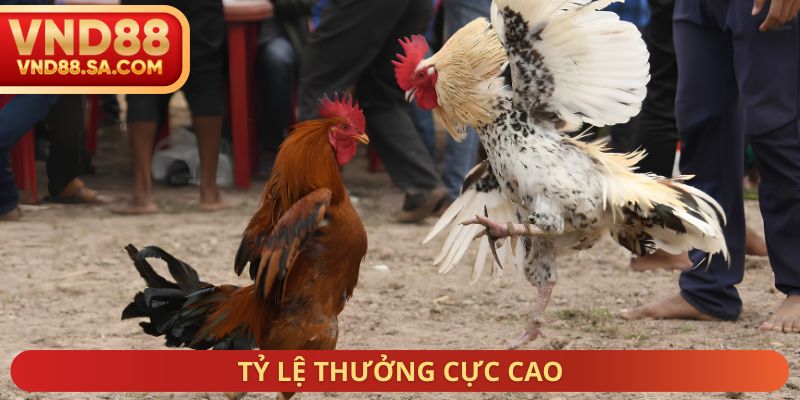 Tỷ lệ thưởng cực cao