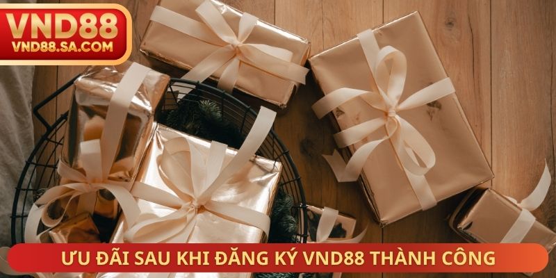 Ưu đãi sau khi đăng ký VND88 thành công